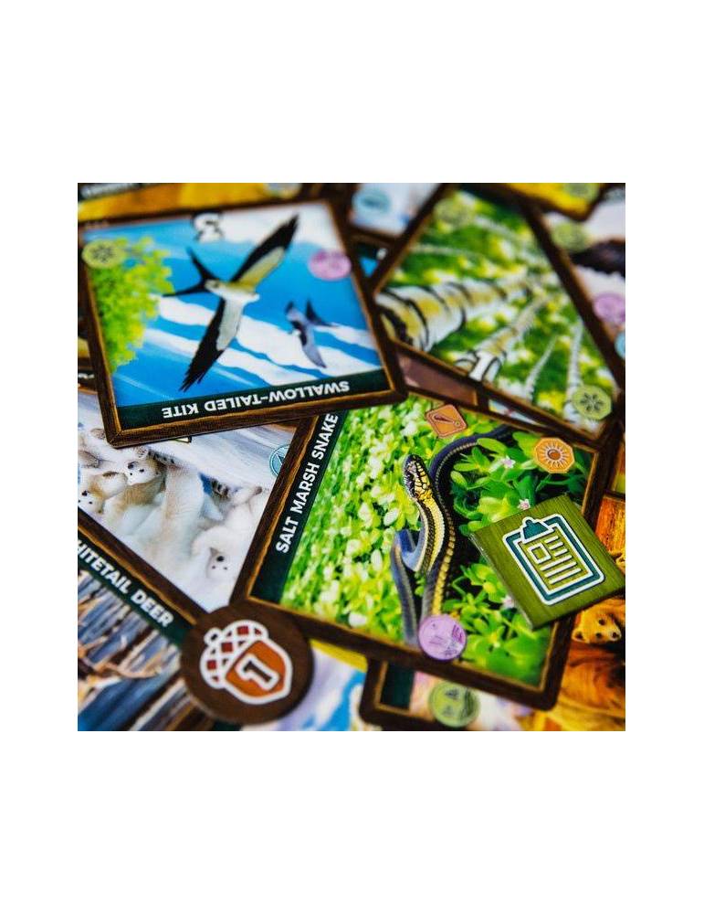 Keystone Norteamérica