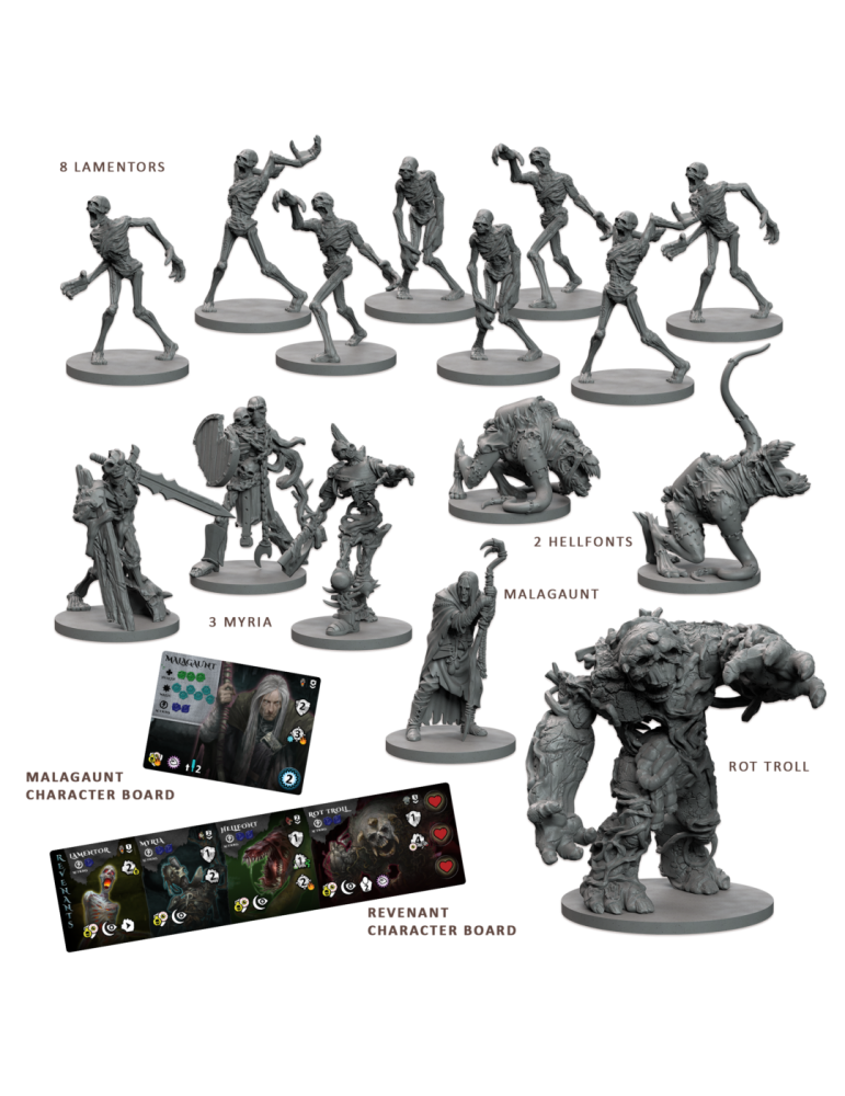 Maladum: Dungeons of Enveron Starter Set